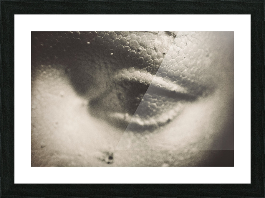Unseeing eye Picture Frame print