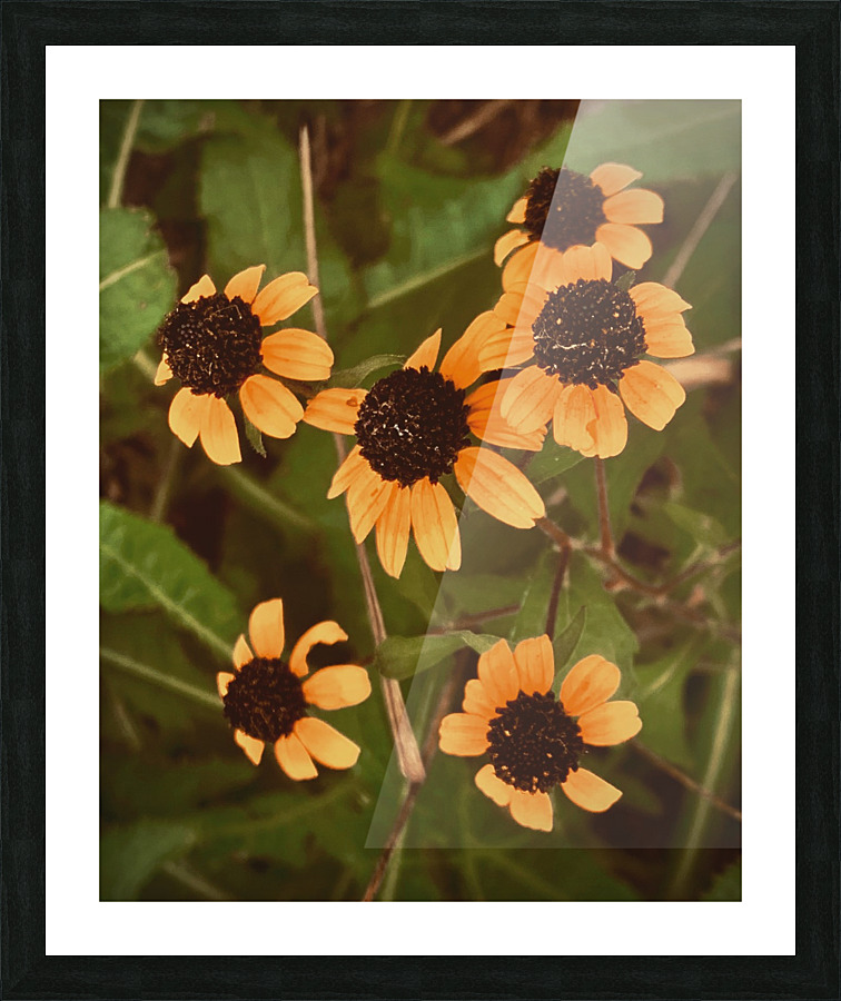 Five Gathering  Picture Frame print