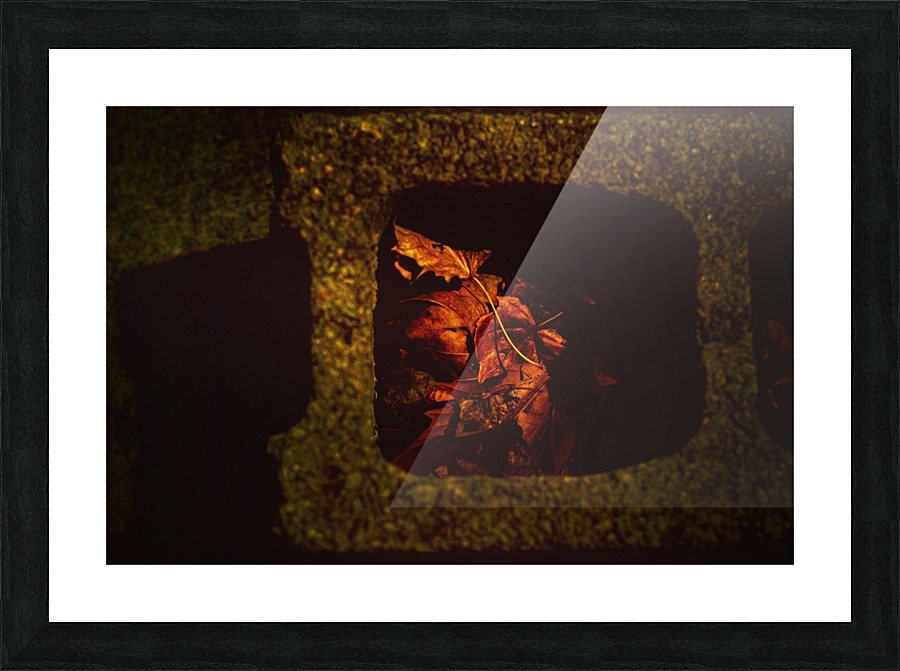 Industrial foliage  Picture Frame print