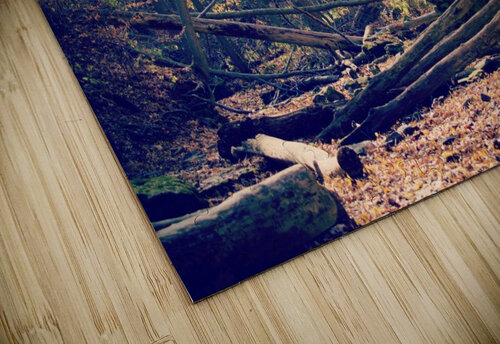 Waterless Fall Sammi Davis puzzle
