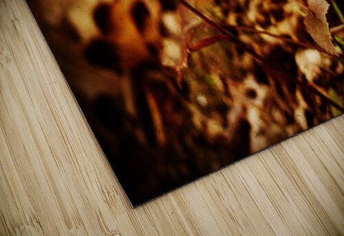 Autumns Struggle Sammi Davis puzzle
