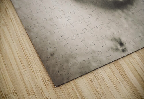 Unseeing eye Sammi Davis puzzle