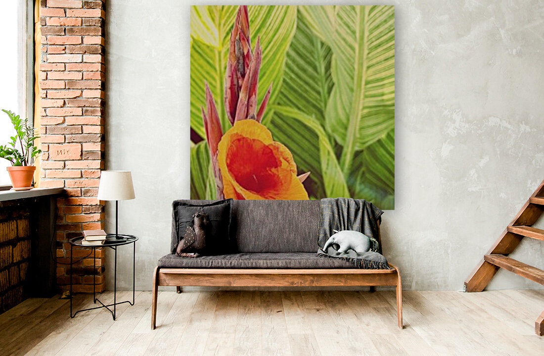 Exotic Summer Reproduction