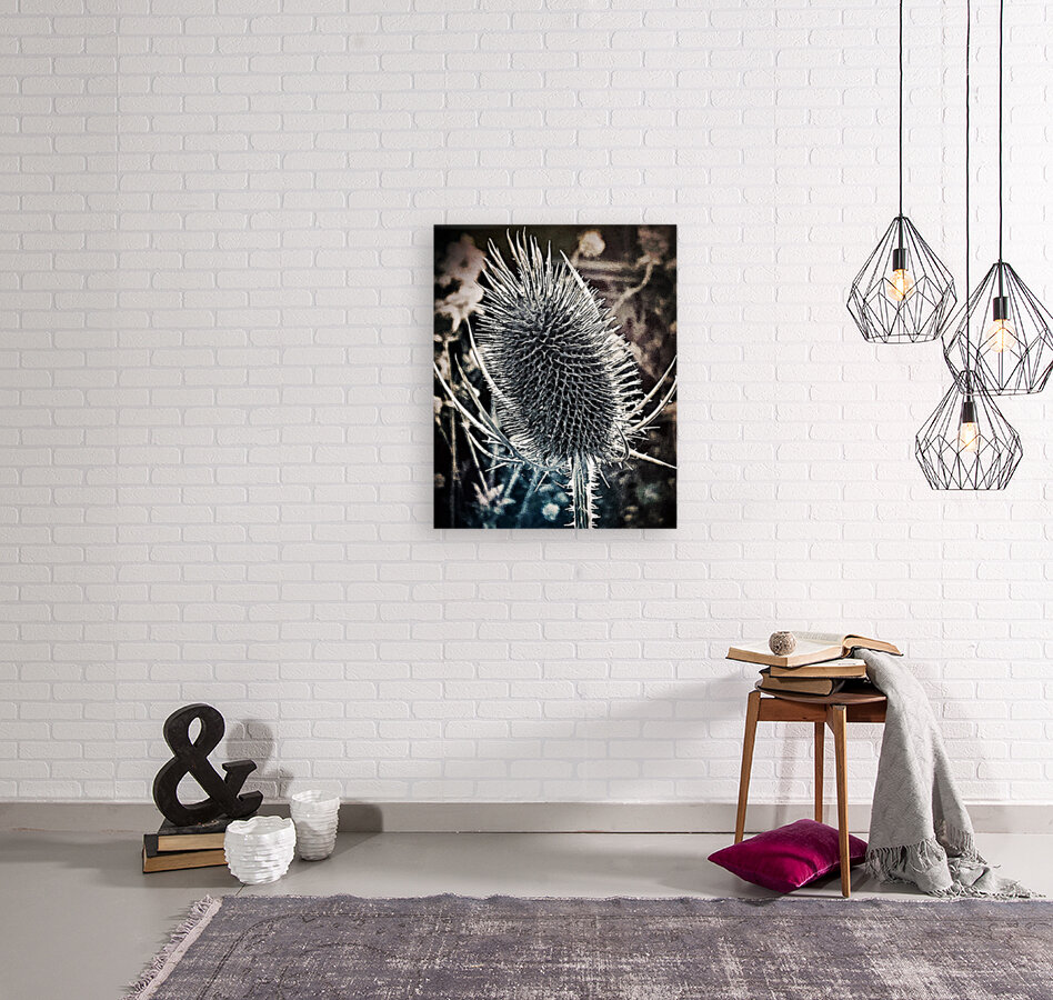 Spiky Flora Reproduction