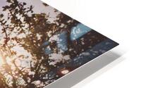 Charlotte’s Sunrise  HD Metal print