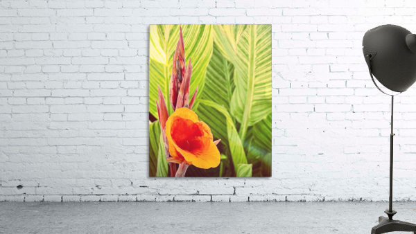 Exotic Summer Wall Preview