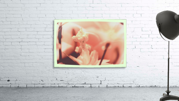 Technicolor Blooms Wall Preview