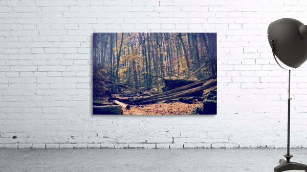 Waterless Fall Wall Preview