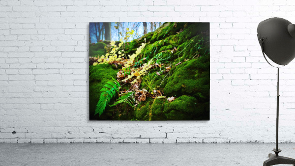 Mossy Grove Wall Preview