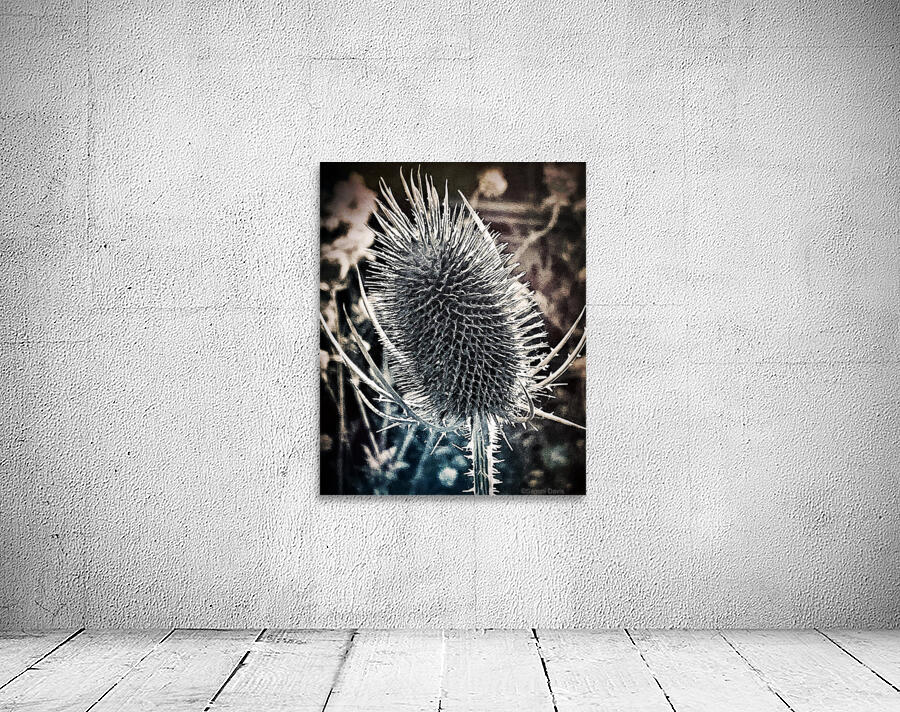Spiky Flora Wall Preview