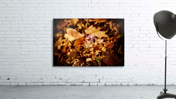 Autumns Struggle Wall Preview