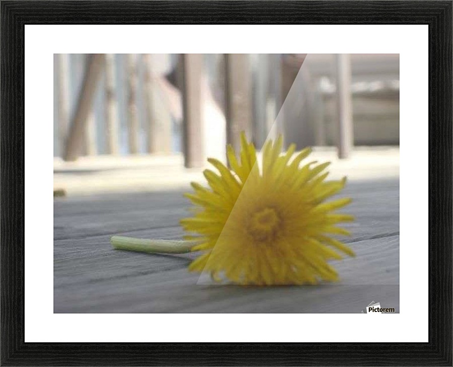 Yellow Picture Frame print