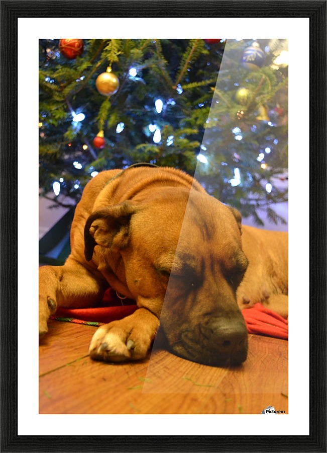 Karma  Picture Frame print