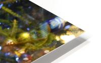 Karma  HD Metal print