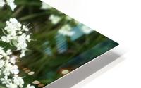 In the fields HD Metal print