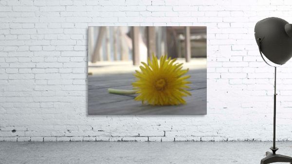 Yellow Wall Preview