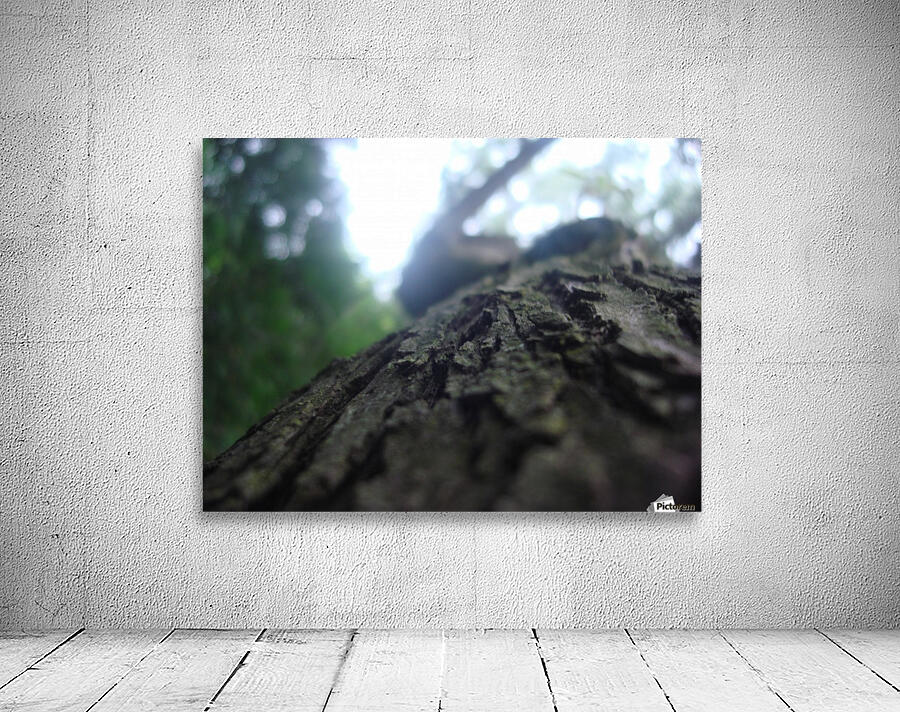 Bark  Wall Preview