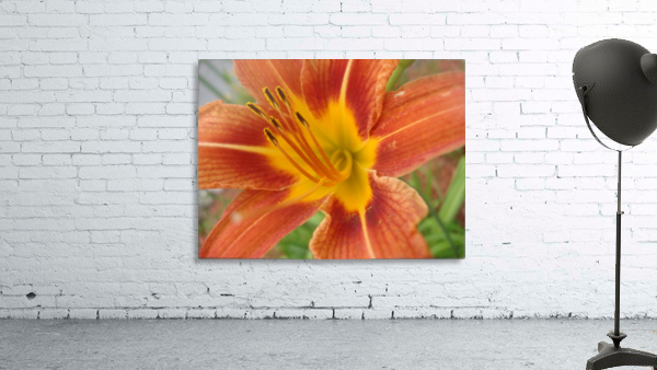 Tiger Flower Wall Preview