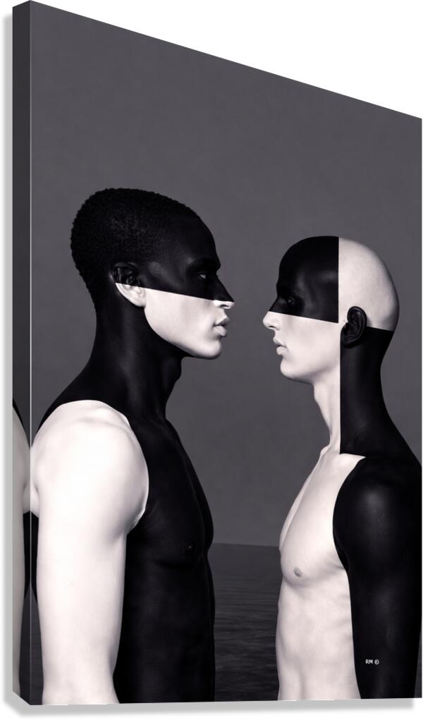 ¿diferencias  Canvas Print