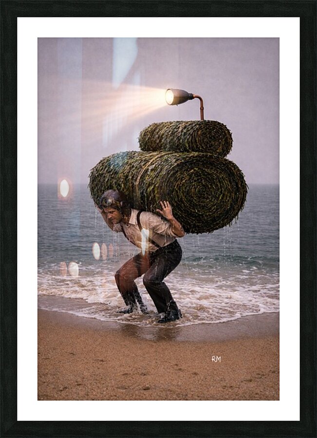 la cosecha de algas Picture Frame print