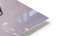 la cosecha de algas HD Metal print