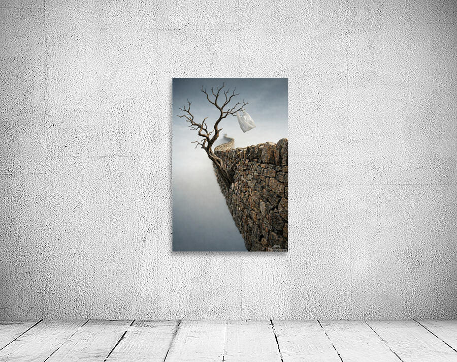 MENORCA2 Wall Preview