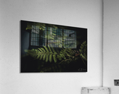 Black & fern Acrylic Print