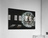 Dandelion  Acrylic Print