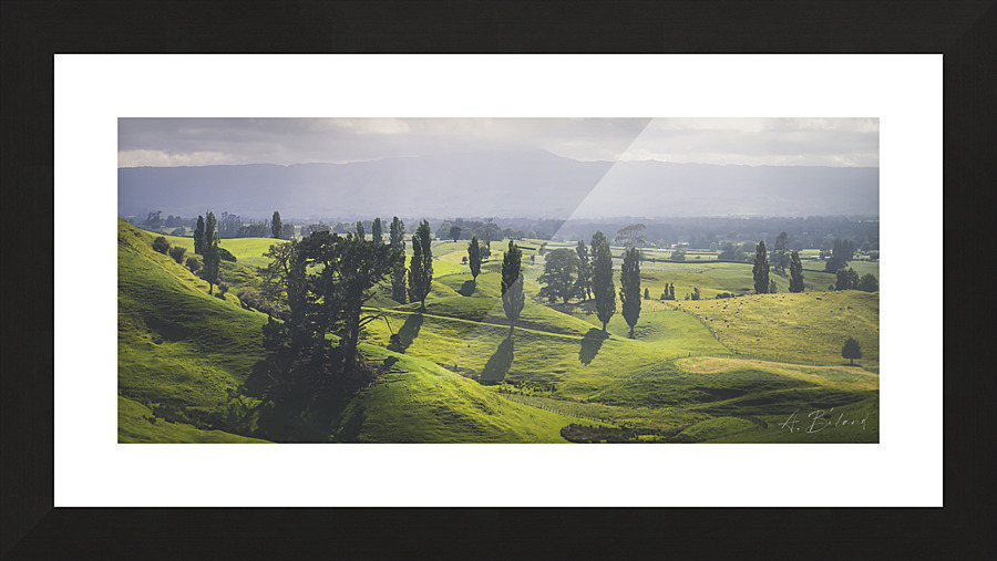 Green pasture Picture Frame print