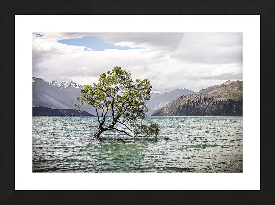 Most Famous tree Picture Frame print