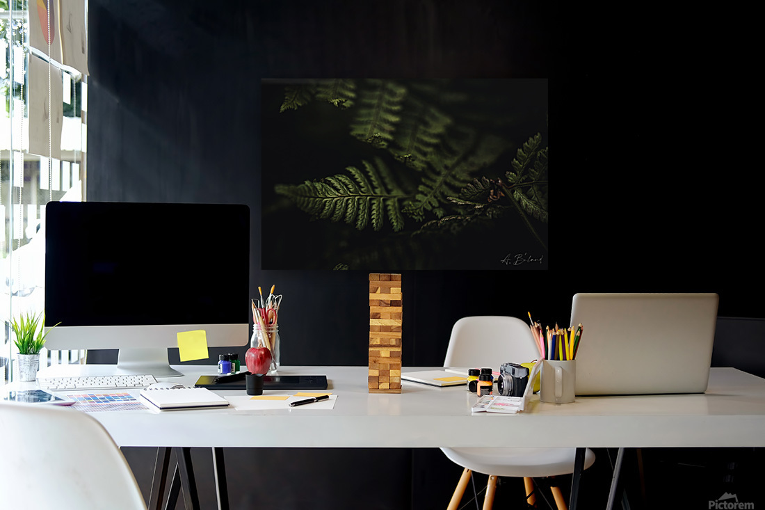 Black & fern Reproduction