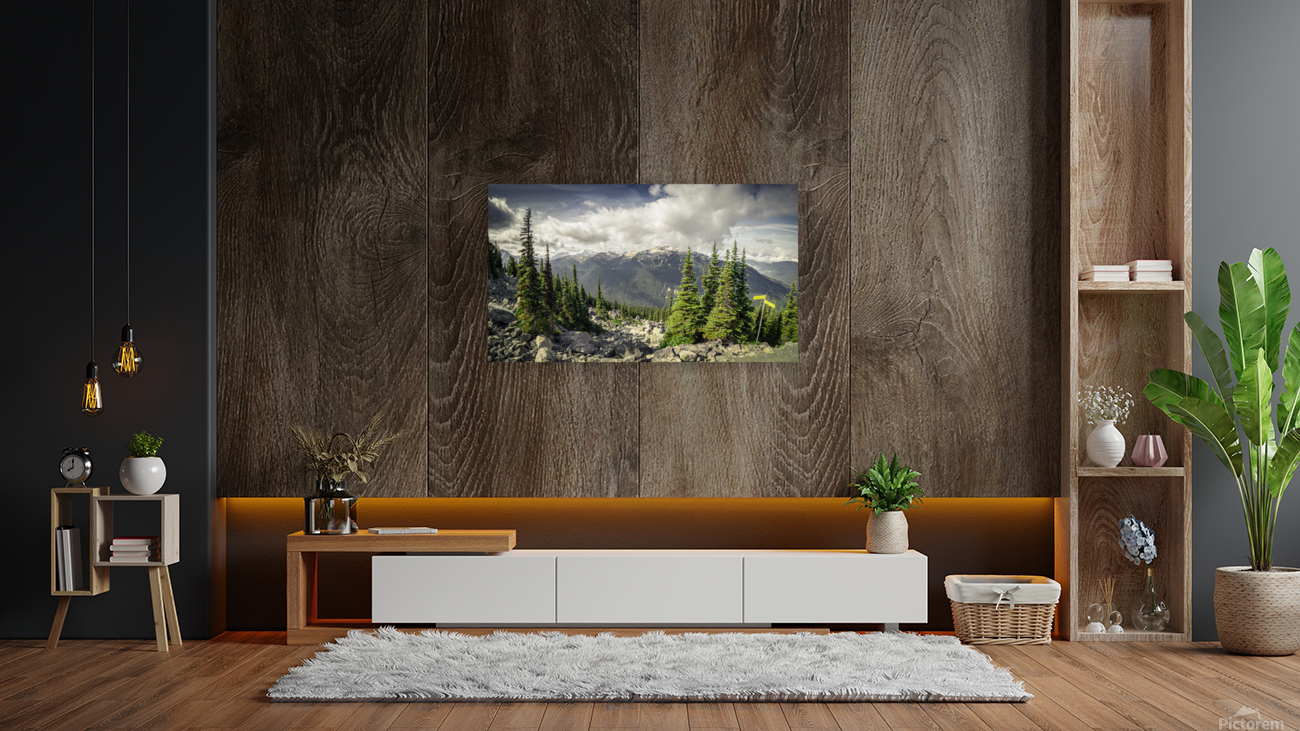 Mountain Landscape Reproduction