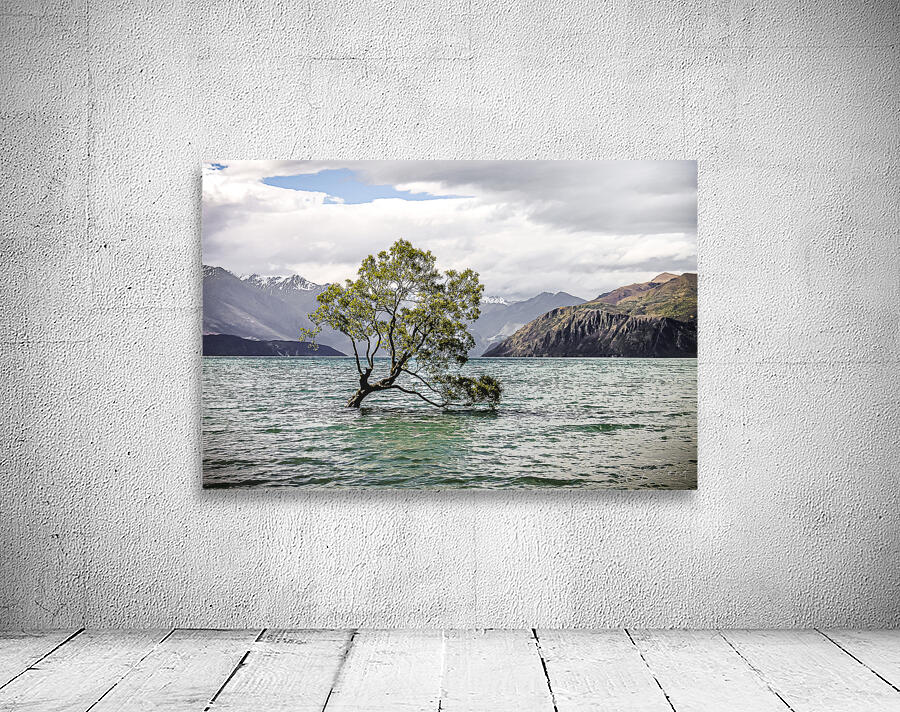 Most Famous tree Wall Preview