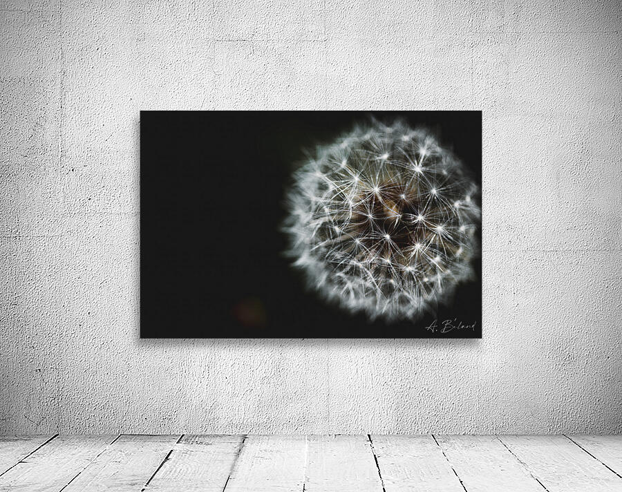 Dandelion  Wall Preview