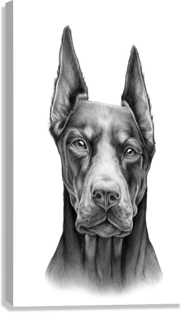 Doberman Pinscher Canvas Print