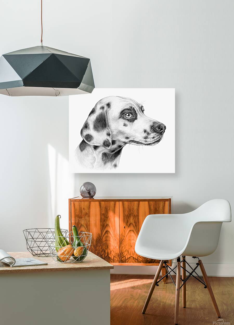 Dalmation Reproduction