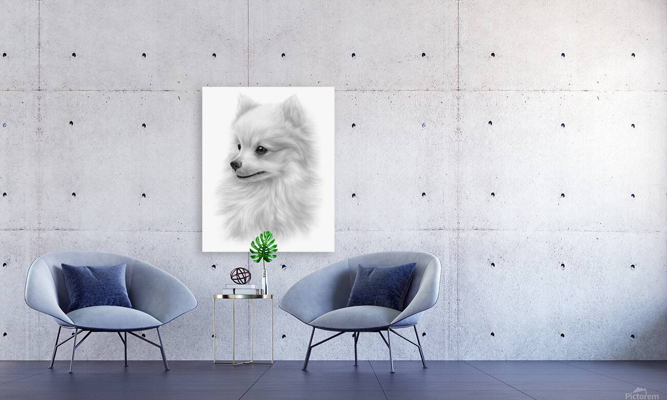 Pomeranian Reproduction