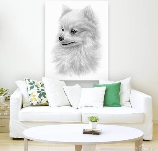 Pomeranian by Collect Sunshine Art