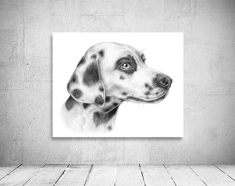 Dalmation Wall Preview