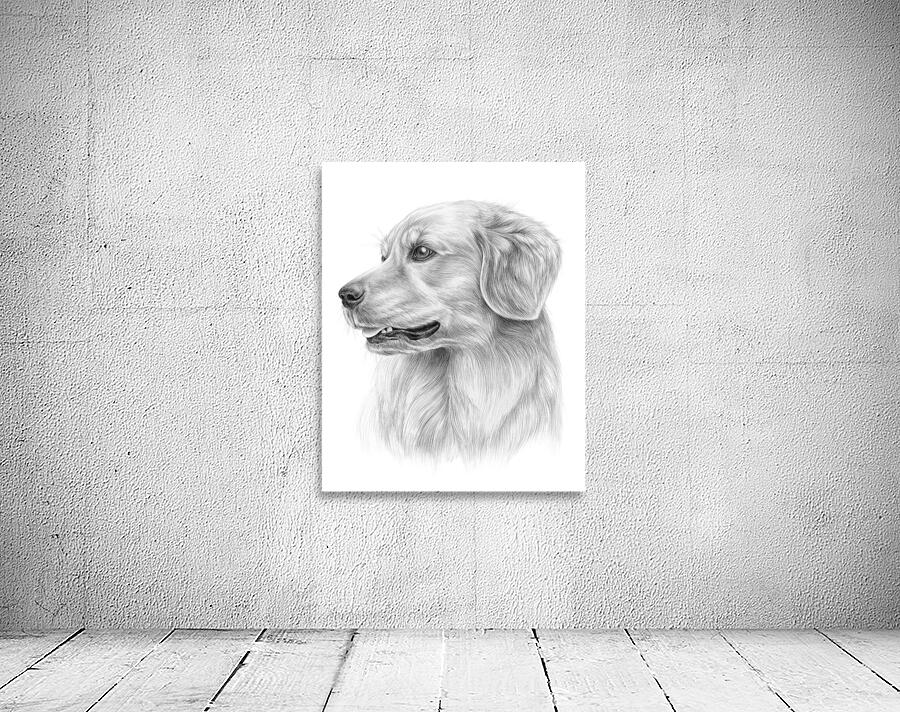 Golden Retriever Drawing Wall Preview