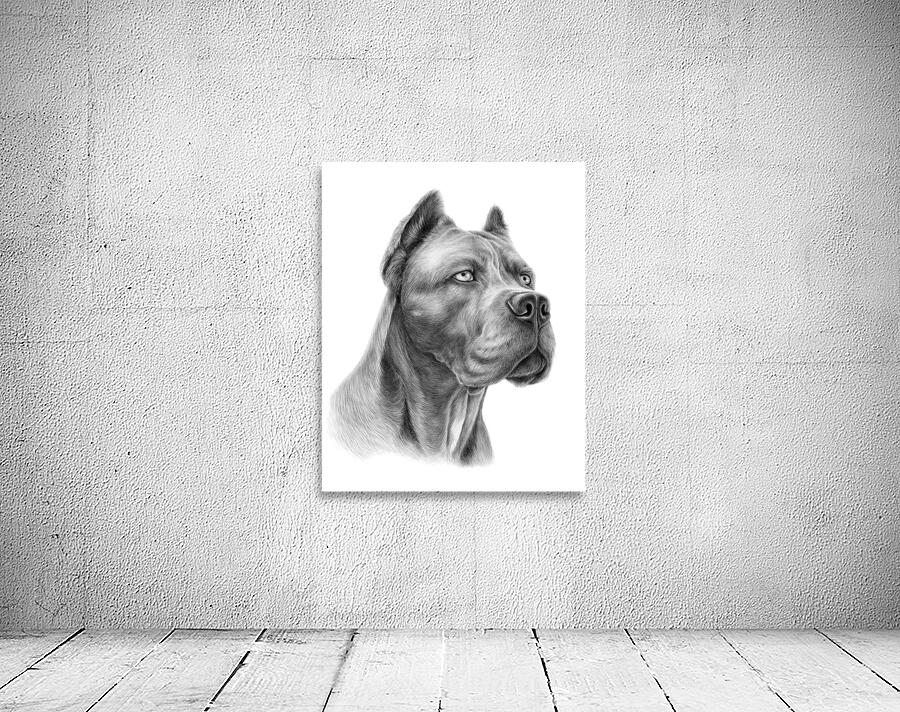 Cane Corso Wall Preview