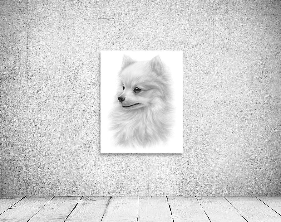 Pomeranian Wall Preview