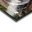 Englishman River Falls Vancouver Island 1 Acrylic print