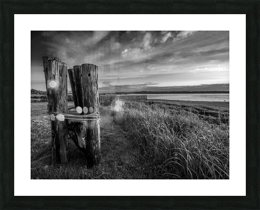 Royston Park  Picture Frame print
