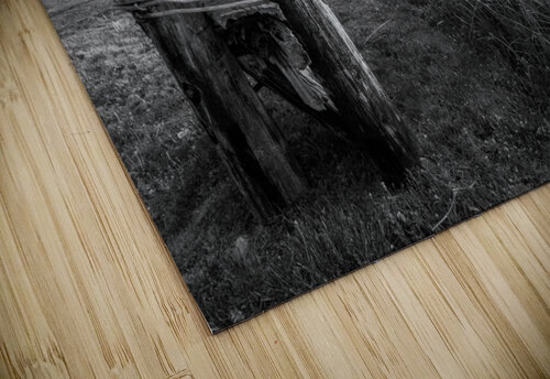 Royston Park  Lars Olof Olsson puzzle