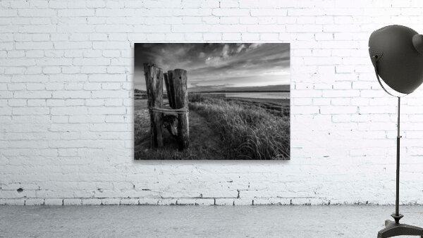 Royston Park  Wall Preview