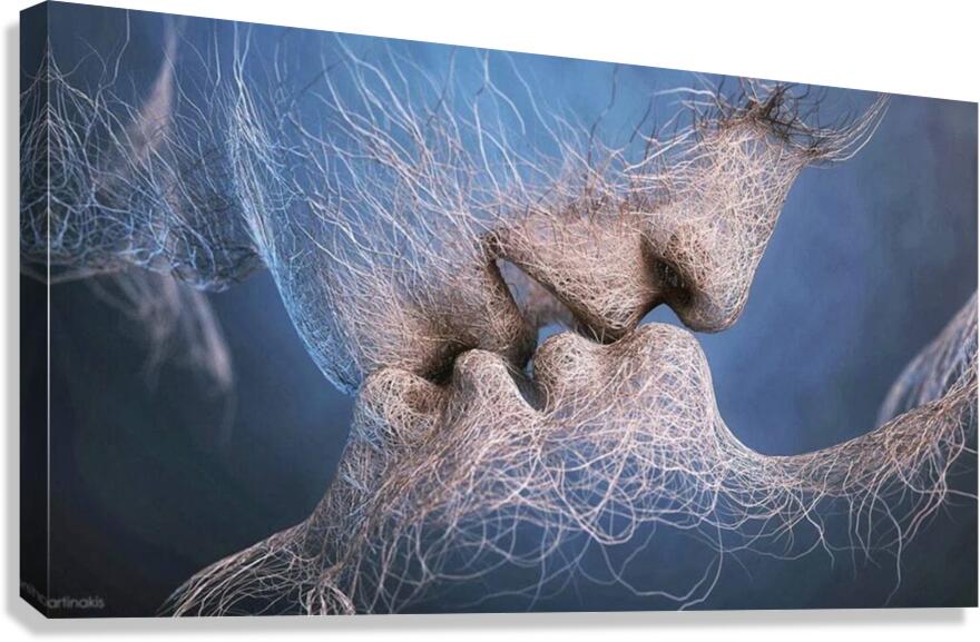 etheral kiss Canvas Print