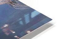 etheral kiss HD Metal print