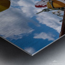 Buoys Provincetown Ma Metal print