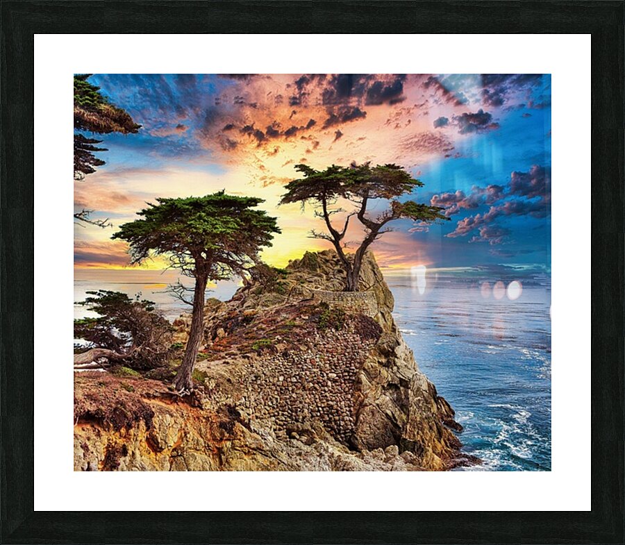 Cypress Tree Picture Frame print